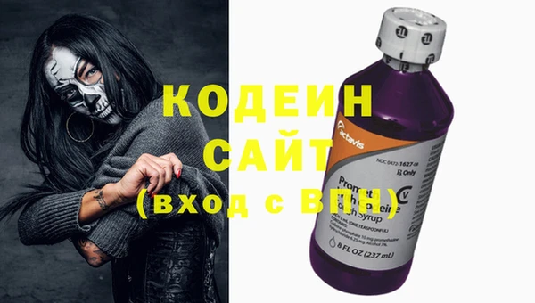 PSILOCYBIN Алзамай