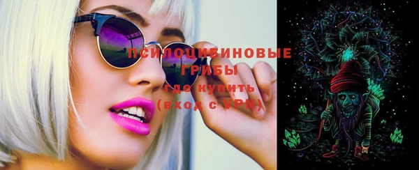 круглые Алексеевка