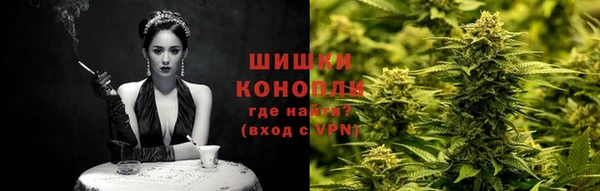 PSILOCYBIN Алзамай