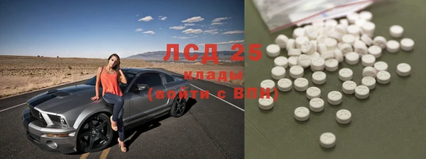 PSILOCYBIN Алзамай