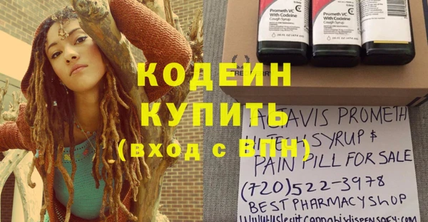 PSILOCYBIN Алзамай