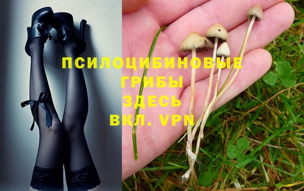 дмт Алексин
