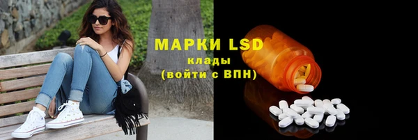 PSILOCYBIN Алзамай