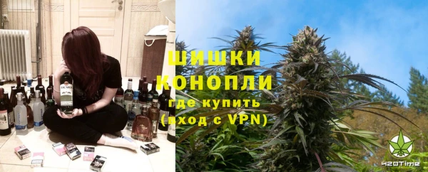 PSILOCYBIN Алзамай