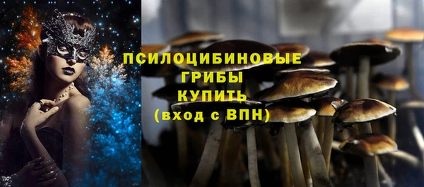 PSILOCYBIN Алзамай