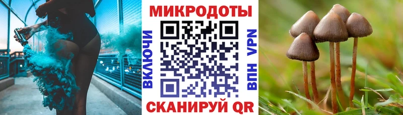 блэк спрут маркетплейс  Дно  Псилоцибиновые грибы мицелий 